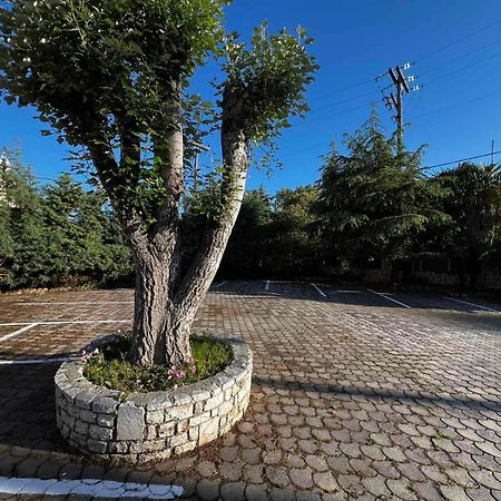 Angela Corfu Apartment Potamos  Ngoại thất bức ảnh