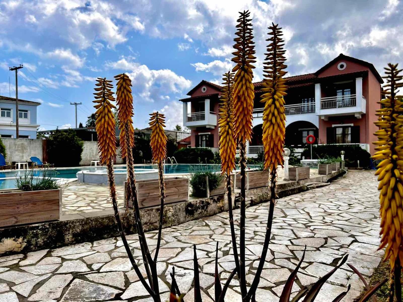 Angela Corfu Apartment Potamos  Ngoại thất bức ảnh