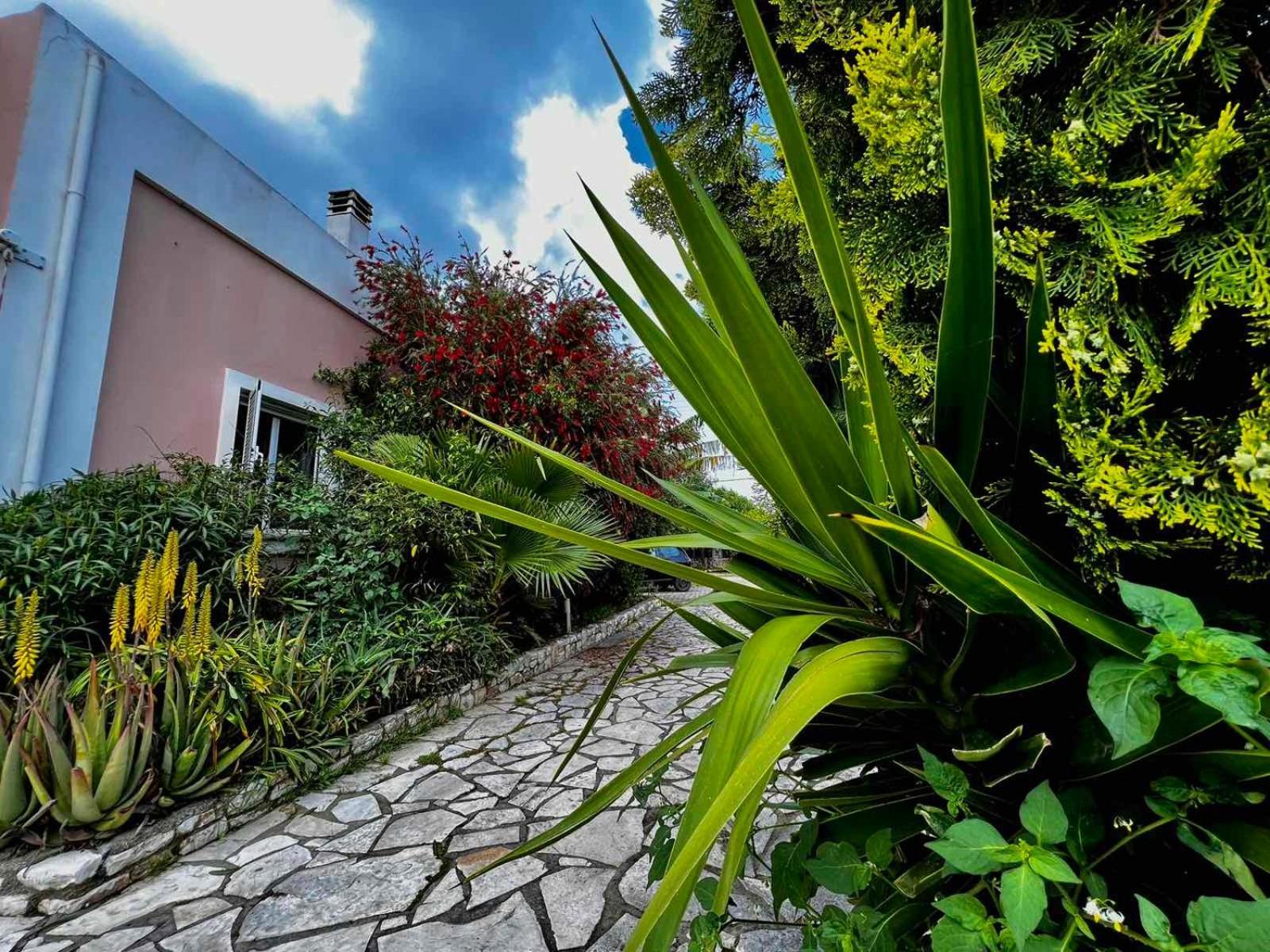 Angela Corfu Apartment Potamos  Ngoại thất bức ảnh