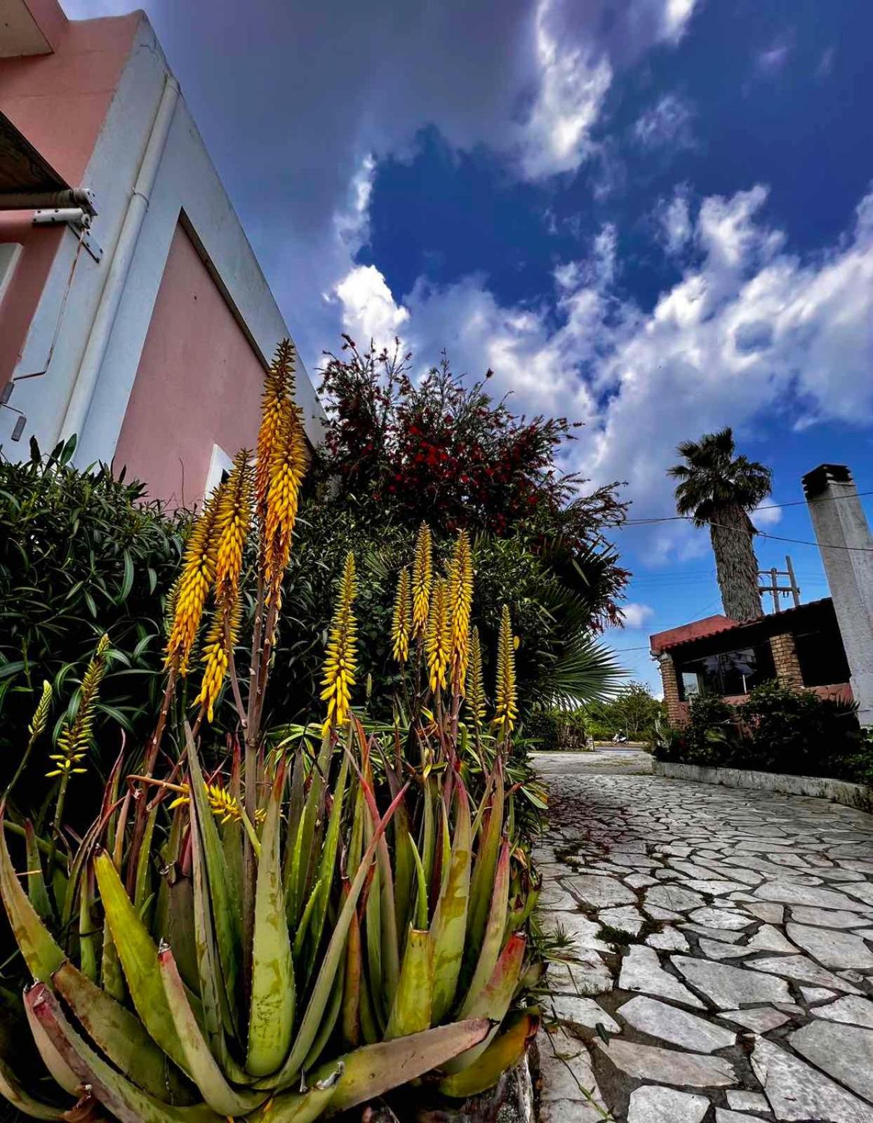 Angela Corfu Apartment Potamos  Ngoại thất bức ảnh