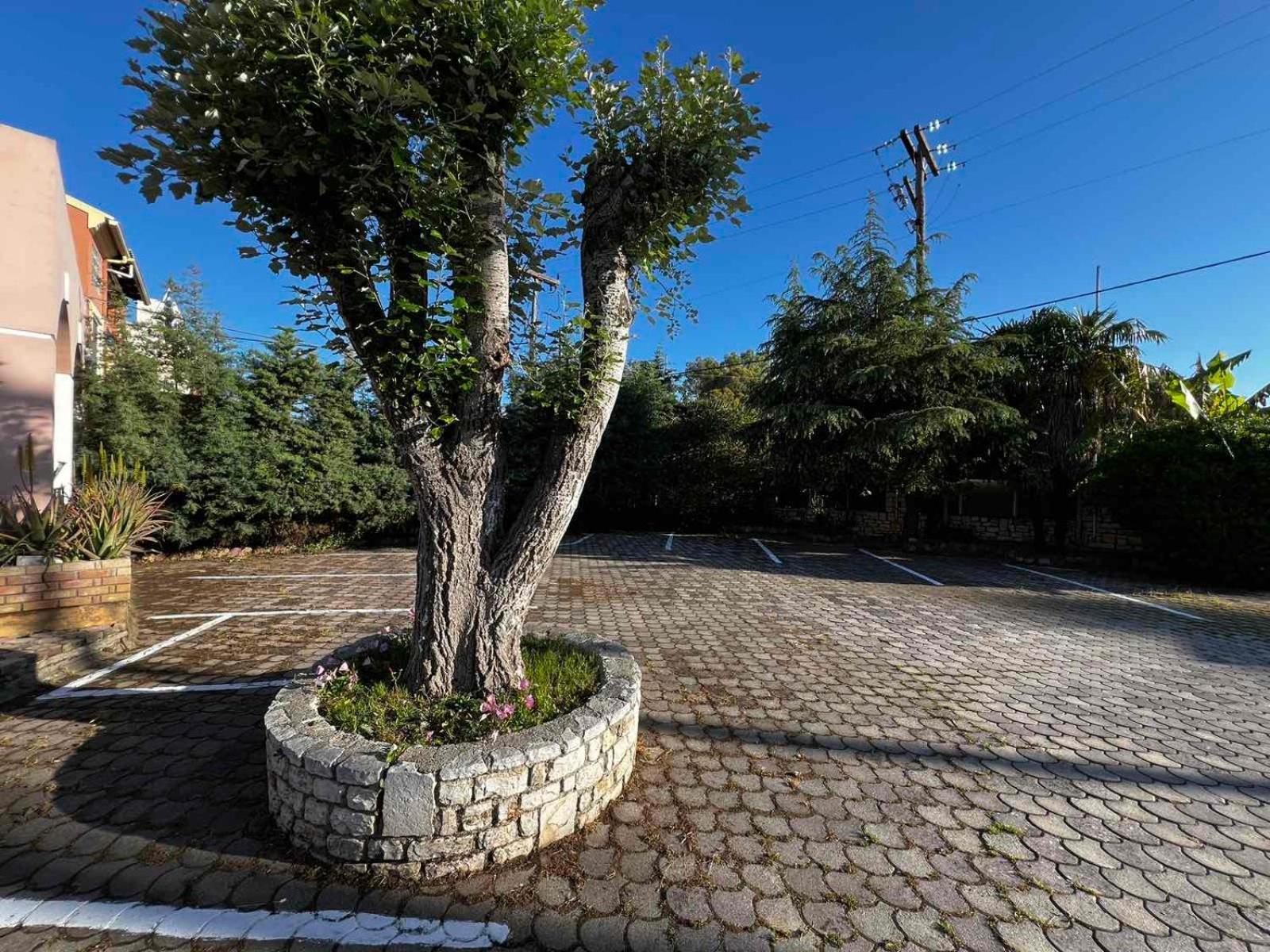 Angela Corfu Apartment Potamos  Ngoại thất bức ảnh